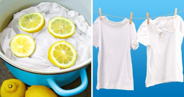 Cómo blanquear tu ropa de forma ecológica 5 Cómo blanquear tu ropa de forma ecológica