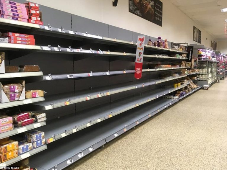 Aumenta la posibilidad de un colapso mundial del sistema alimentario 5 Aumenta la posibilidad de un colapso mundial del sistema alimentario