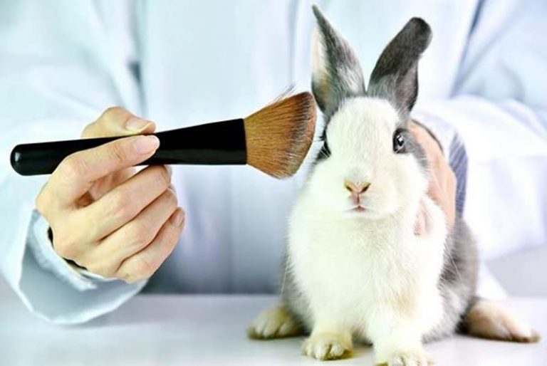 Avon anuncia el FINAL de las PRUEBAS DE ANIMALES en sus cosméticos