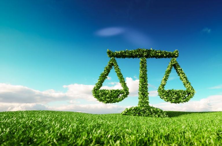 ¿Qué hace un Abogado ambiental y cuando debes llamarlo?