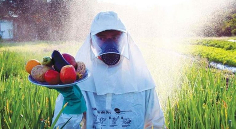 Niños orinan agrotóxicos en México 3 Niños orinan agrotóxicos en México