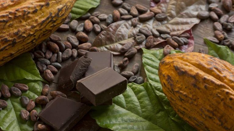 El chocolate y sus propiedades para la salud