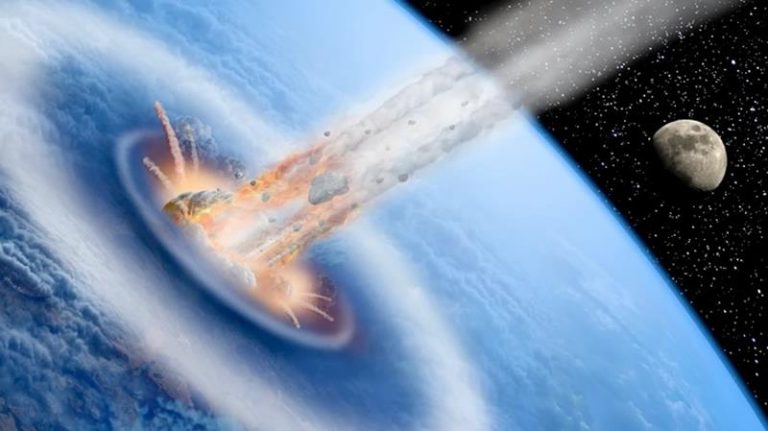 ¿Cómo fue el "primer día" de extinción de los dinosaurios? Encuentran evidencia 6 ¿Cómo fue el «primer día» de extinción de los dinosaurios? Encuentran evidencia