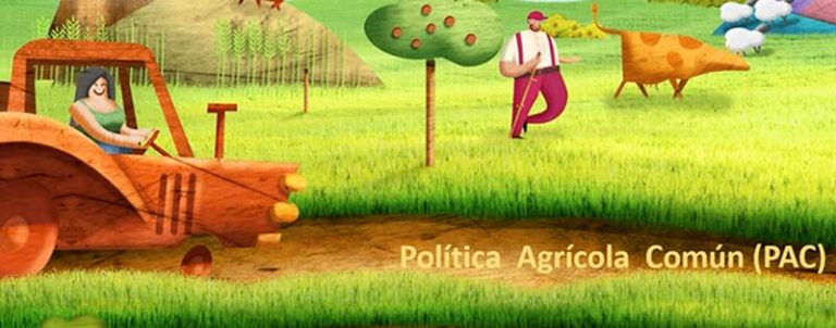Donde Comprar y Vender Derechos PAC en 2020 7 Donde Comprar y Vender Derechos PAC en 2020