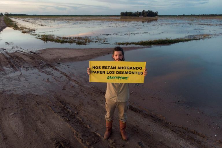 Deforestación en el norte argentino: Más de 80.000 hectáreas en 2019