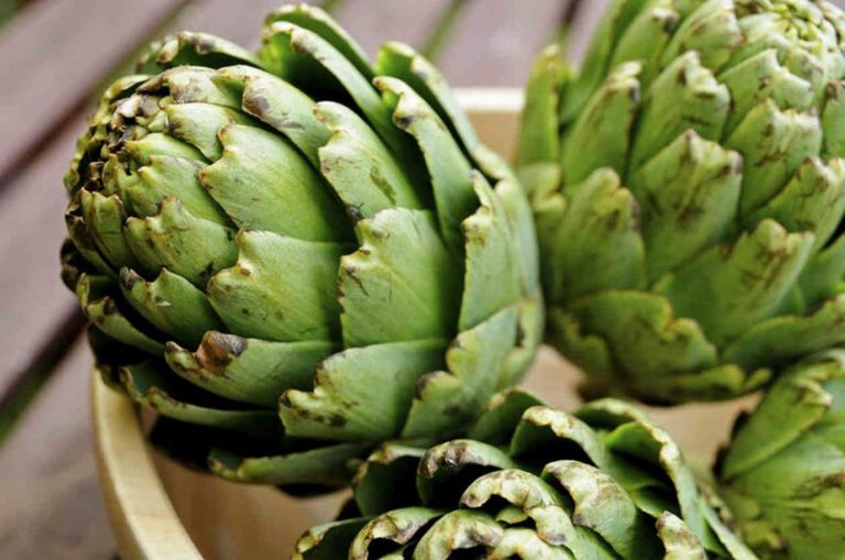 Los enormes beneficios de comer alcachofas 8 Los enormes beneficios de comer alcachofas