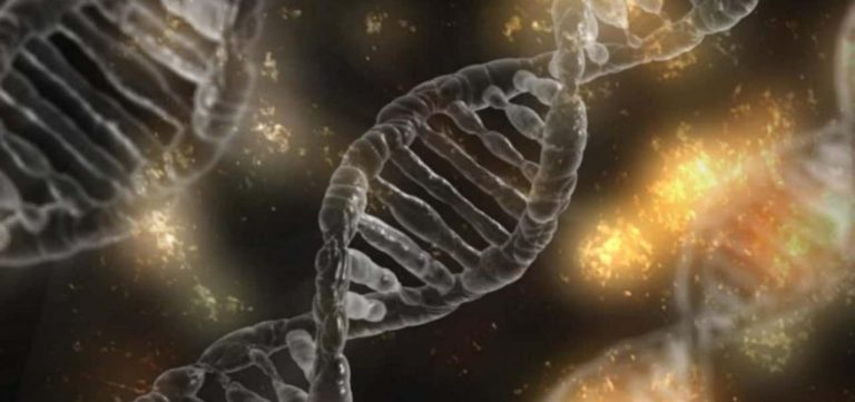 La contaminación del aire afecta el funcionamiento de nuestros genes 9 La contaminación del aire afecta el funcionamiento de nuestros genes