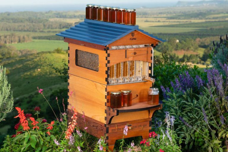 Flow Hive: un invento para tener miel sin estresar a las abejas 8 Flow Hive: un invento para tener miel sin estresar a las abejas