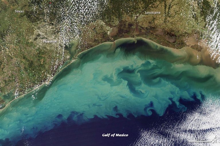 ¿Cómo limpiar la gigantesca zona muerta del Golfo de México?