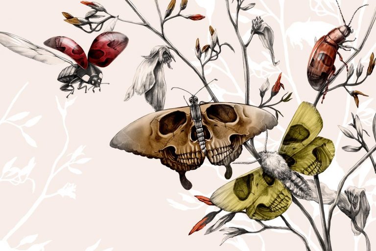 El apocalipsis de los insectos: la peor amenaza para la vida en la Tierra 6 El apocalipsis de los insectos: la peor amenaza para la vida en la Tierra