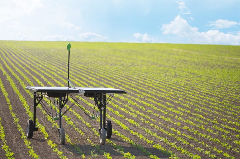 Robot argentino busca reemplazar al glifosato: quita malezas con rayo láser y usa luz solar