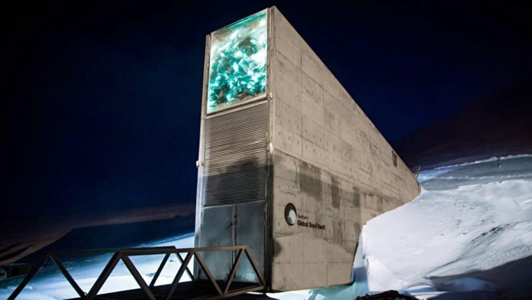 La Bóveda Global de Semillas de Svalbard, un seguro de vida para la humanidad 6 La Bóveda Global de Semillas de Svalbard, un seguro de vida para la humanidad