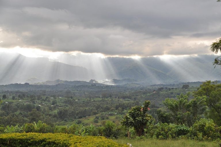 Plan en Congo para perforar uno de los mayores sumideros de carbono del planeta 10 Plan en Congo para perforar uno de los mayores sumideros de carbono del planeta