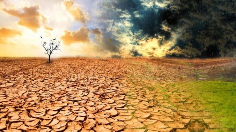 El coronavirus refleja la degradación ambiental, según PNUMA 4 El coronavirus refleja la degradación ambiental, según PNUMA