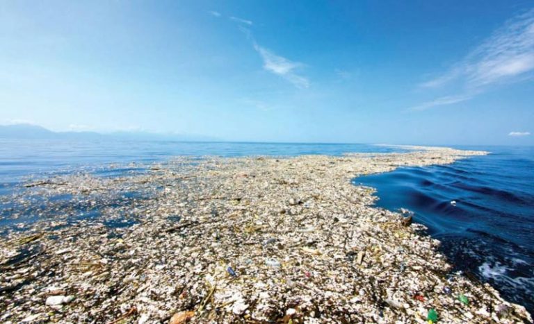 “Solo se ha contabilizado el 1 % de todo el plástico que entra al mar” 8 “Solo se ha contabilizado el 1 % de todo el plástico que entra al mar”