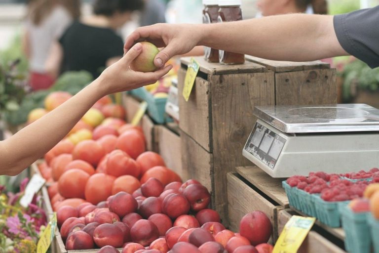 Los trabajadores agrícolas arriesgan sus vidas para alimentarnos 1 Los trabajadores agrícolas arriesgan sus vidas para alimentarnos