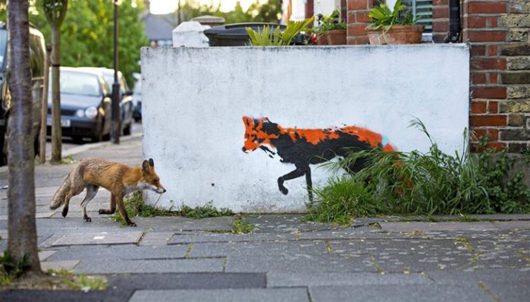 Sin los humanos en las calles, la naturaleza se expresa libremente