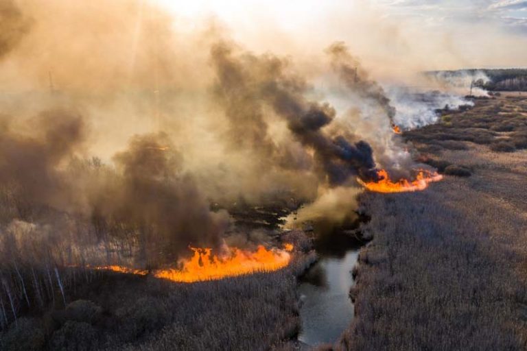 Se logró contener el incendio que amenzaba la planta nuclear de Chernobyl 8 Se logró contener el incendio que amenzaba la planta nuclear de Chernobyl