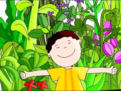 El Coleccionista de Semillas. Cuento Infantil 3 El Coleccionista de Semillas. Cuento Infantil