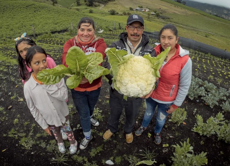 Pequeños productores lucharán por llevar alimentos saludables a todos 6 Pequeños productores lucharán por llevar alimentos saludables a todos