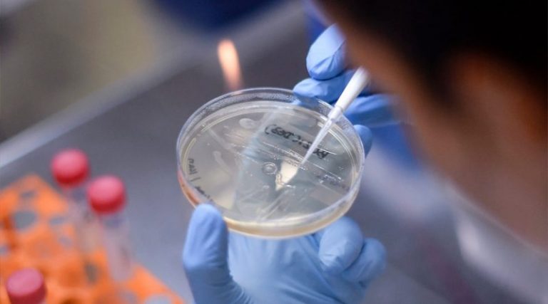 Las grandes farmacéuticas se preparan para lucrar del Coronavirus 4 Las grandes farmacéuticas se preparan para lucrar del Coronavirus
