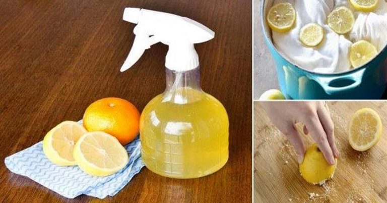 Cómo hacer un vinagre de cítricos para limpiar la casa 3 Cómo hacer un vinagre de cítricos para limpiar la casa