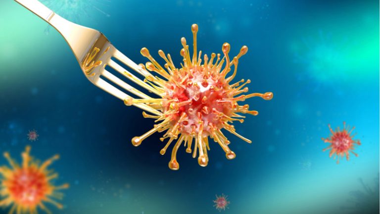 La industria agroalimentaria, fábrica gigante de nuevos virus