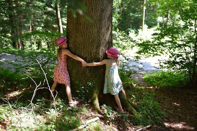 Un árbol vale más que un árbol 10 Un árbol vale más que un árbol