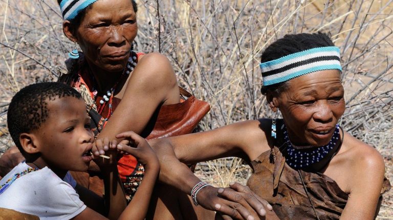 Los pueblos indígenas son la clave para proteger el medio ambiente 8 Los pueblos indígenas son la clave para proteger el medio ambiente
