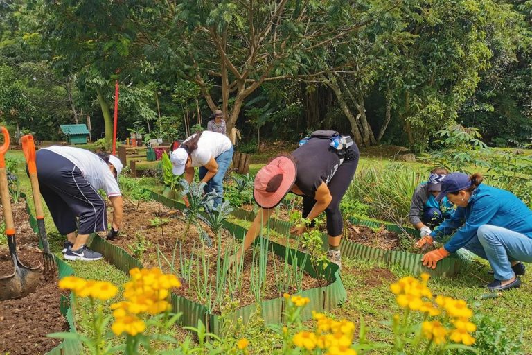 'Sweet City': el suburbio de Costa Rica que dio ciudadanía a las abejas, plantas y árboles 10 ‘Sweet City’: el suburbio de Costa Rica que dio ciudadanía a las abejas, plantas y árboles