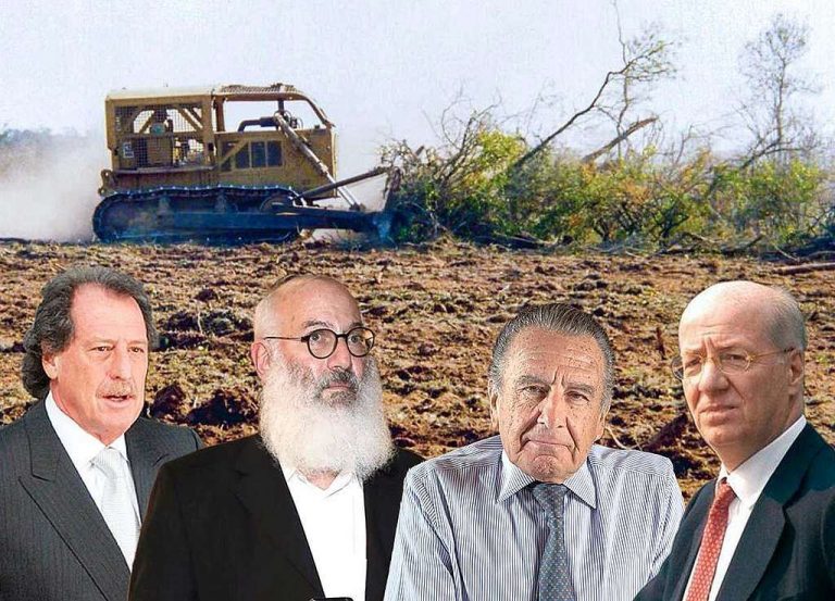 La lista de más de 300 empresarios y compañías que deforestaron Argentina en los últimos 30 años 6 La lista de más de 300 empresarios y compañías que deforestaron Argentina en los últimos 30 años