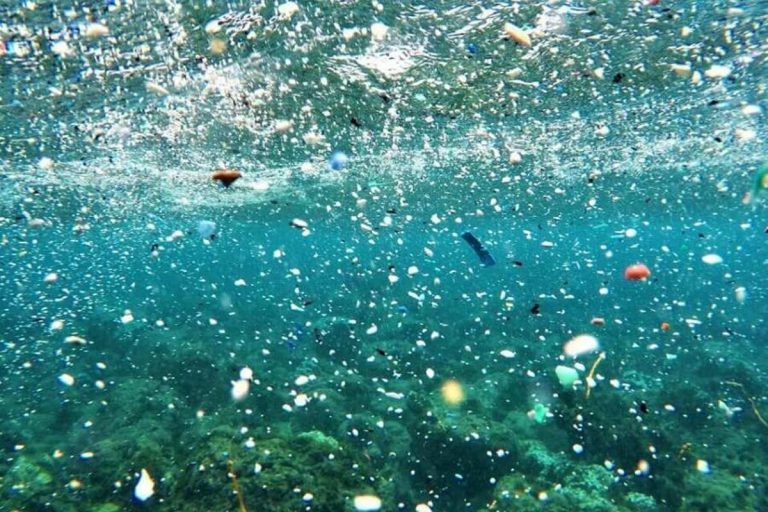 Los microplásticos, una seria amenaza que se acumula en el fondo marino 4 Los microplásticos, una seria amenaza que se acumula en el fondo marino