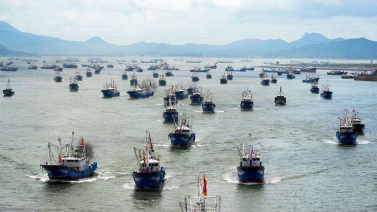 Más de 100 barcos están saqueando la fauna de las costas argentinas 5 Más de 100 barcos están saqueando la fauna de las costas argentinas