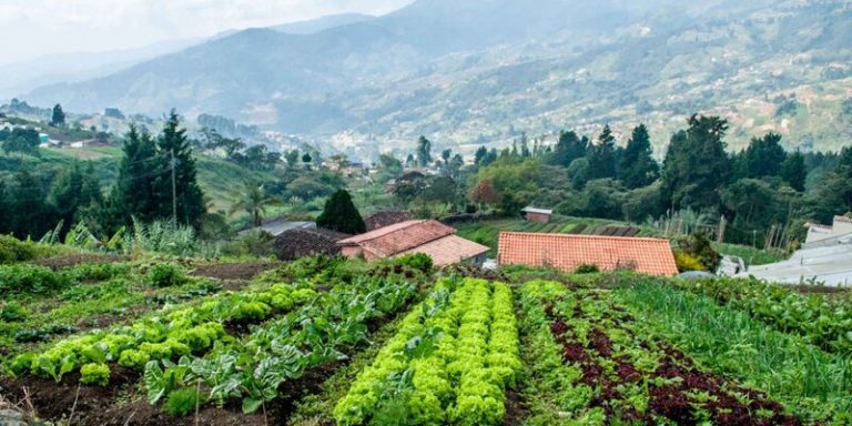 Agroecología para la resiliencia antes las crisis emergentes