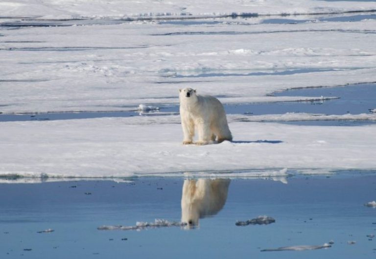 Así será la Tierra en 2050 4 Así será la Tierra en 2050