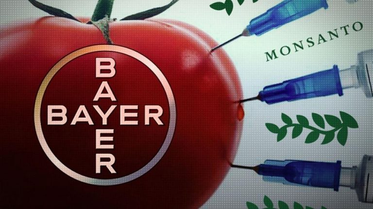 GLIFOSATO CULPABLE: Bayer ofrece pagar 10 mil millones para cerrar todas las causas judiciales por cáncer. 6 GLIFOSATO CULPABLE: Bayer ofrece pagar 10 mil millones para cerrar todas las causas judiciales por cáncer.