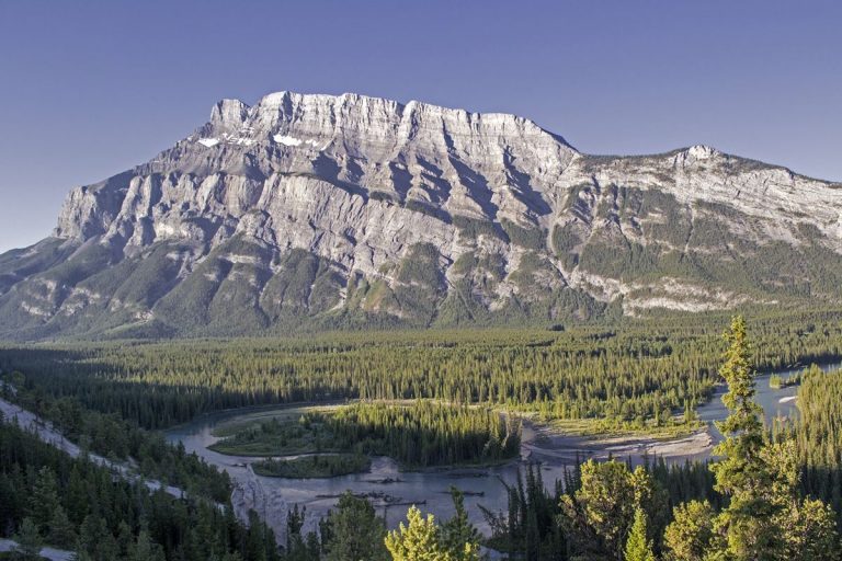 Por la crisis climática, los bosques del mundo son más cortos y más jóvenes 10 Por la crisis climática, los bosques del mundo son más cortos y más jóvenes