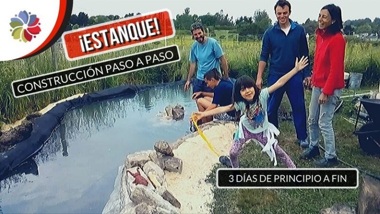 Como hacer un estanque fácil y económico para plantas y peces 5 Como hacer un estanque fácil y económico para plantas y peces
