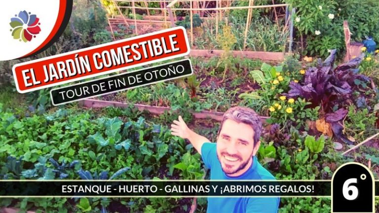 Cómo producir alimento en un patio