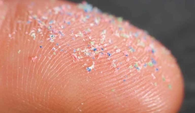 Los nanoplásticos se pueden acumular en los tejidos de las plantas 7 Los nanoplásticos se pueden acumular en los tejidos de las plantas