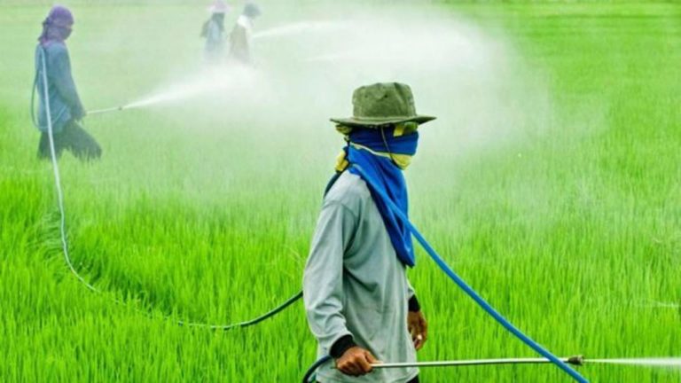 ¡México avanza hacia la prohibición del glifosato. Brasil, todo lo contrario! 1 ¡México avanza hacia la prohibición del glifosato. Brasil, todo lo contrario!