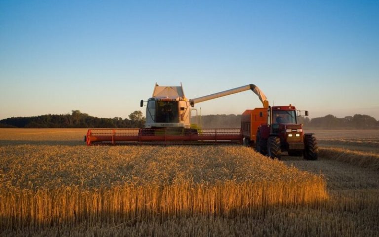 10 cosas que debes saber sobre la agricultura industrial 9 10 cosas que debes saber sobre la agricultura industrial