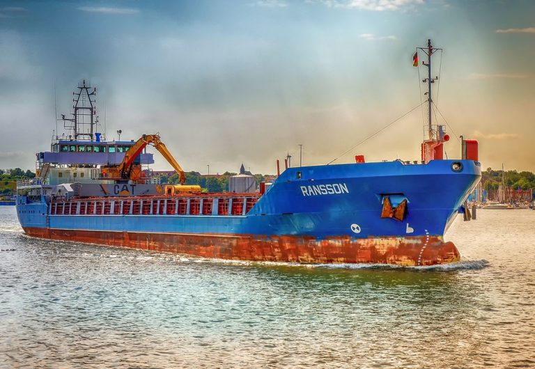 Los barcos golpean más animales marinos de lo que se pensaba 9 Los barcos golpean más animales marinos de lo que se pensaba