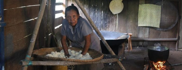 La chagra, el trabajo milenario para la fertilidad de la Amazonía 10 La chagra, el trabajo milenario para la fertilidad de la Amazonía
