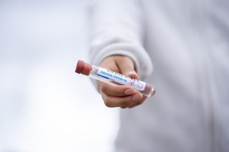 Científicos analizan cómo prevenir la próxima pandemia (y salvar a la naturaleza) 10 Científicos analizan cómo prevenir la próxima pandemia (y salvar a la naturaleza)