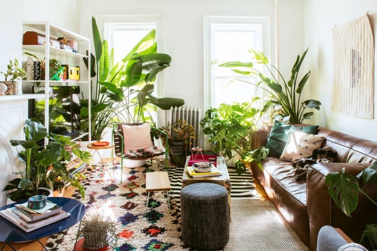 Cómo conectarse con la naturaleza, sin salir de su casa 9 Cómo conectarse con la naturaleza, sin salir de su casa