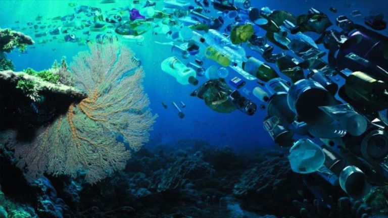 Desechos plásticos inundan los océanos, se triplicarán en 20 años 7 Desechos plásticos inundan los océanos, se triplicarán en 20 años