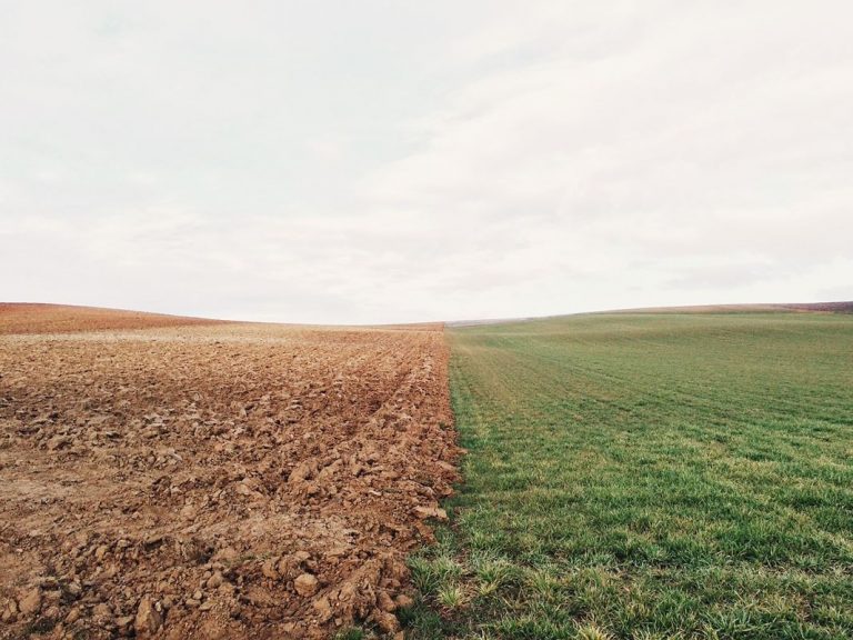 El polvo de roca aplicado a campos agrícolas podría ayudar a capturar 2B de toneladas de CO2 5 El polvo de roca aplicado a campos agrícolas podría ayudar a capturar 2B de toneladas de CO2