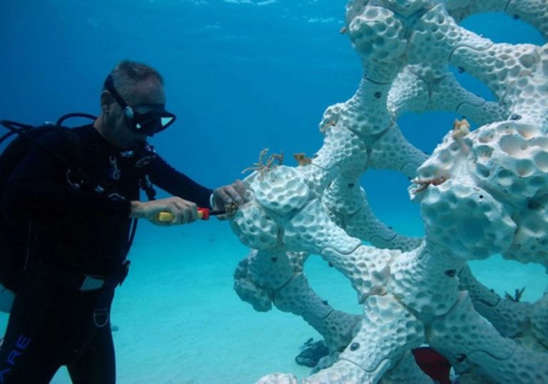 Coral impreso en 3-D podría salvar arrecifes en peligro de extinción 3 Coral impreso en 3-D podría salvar arrecifes en peligro de extinción