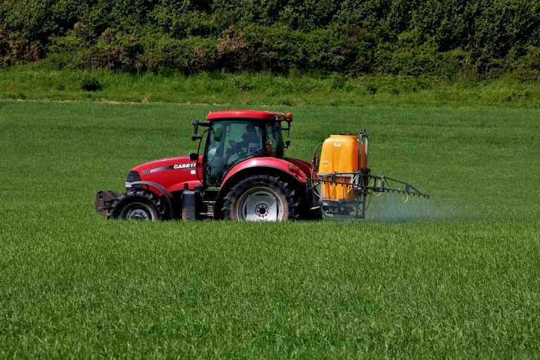 Neonicotinoides: Los insecticidas que mataron a casi la mitad de las aves silvestres de EE.UU.